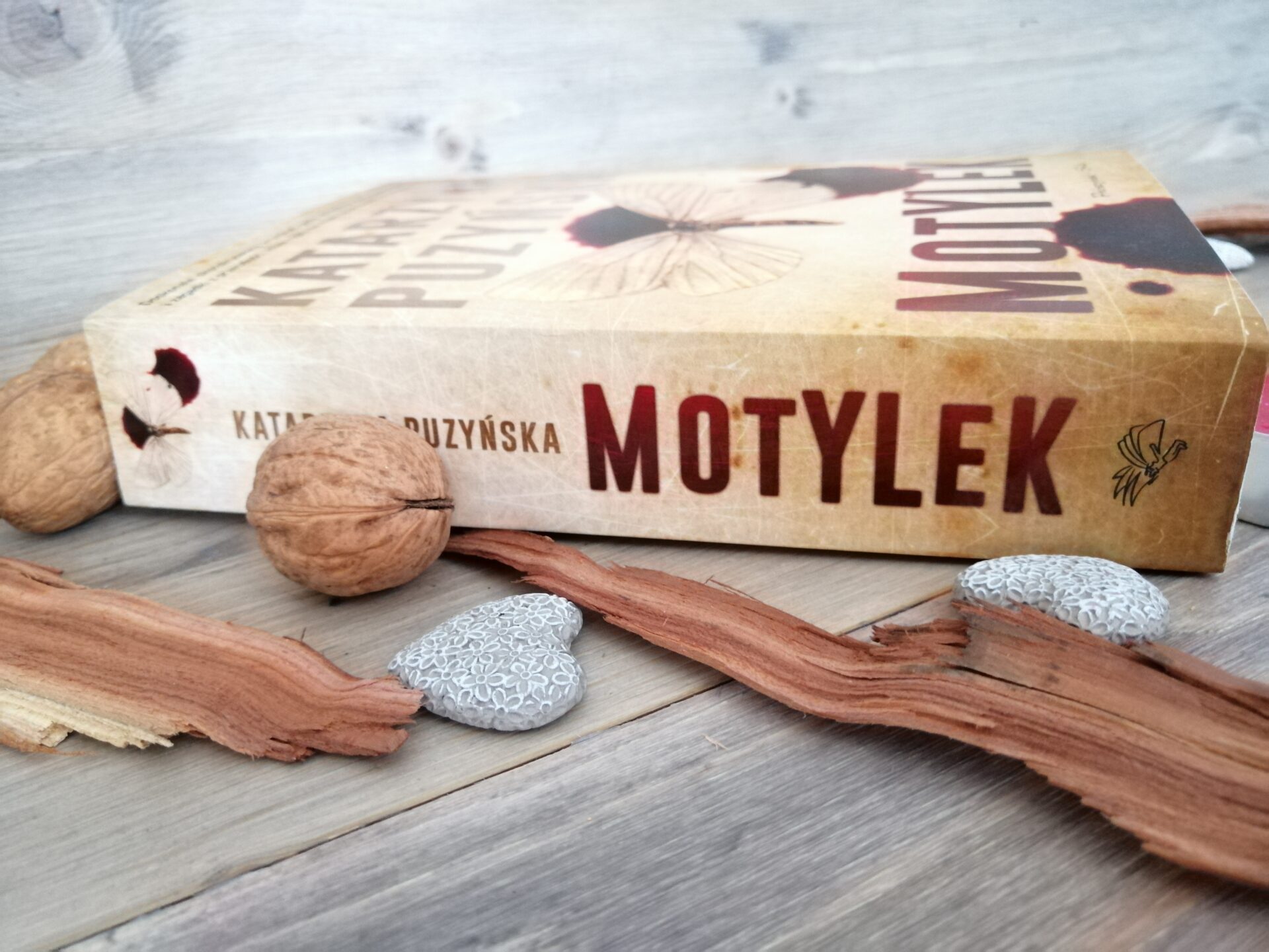 Okładka książki "Motylek" Katarzyna Puzyńska