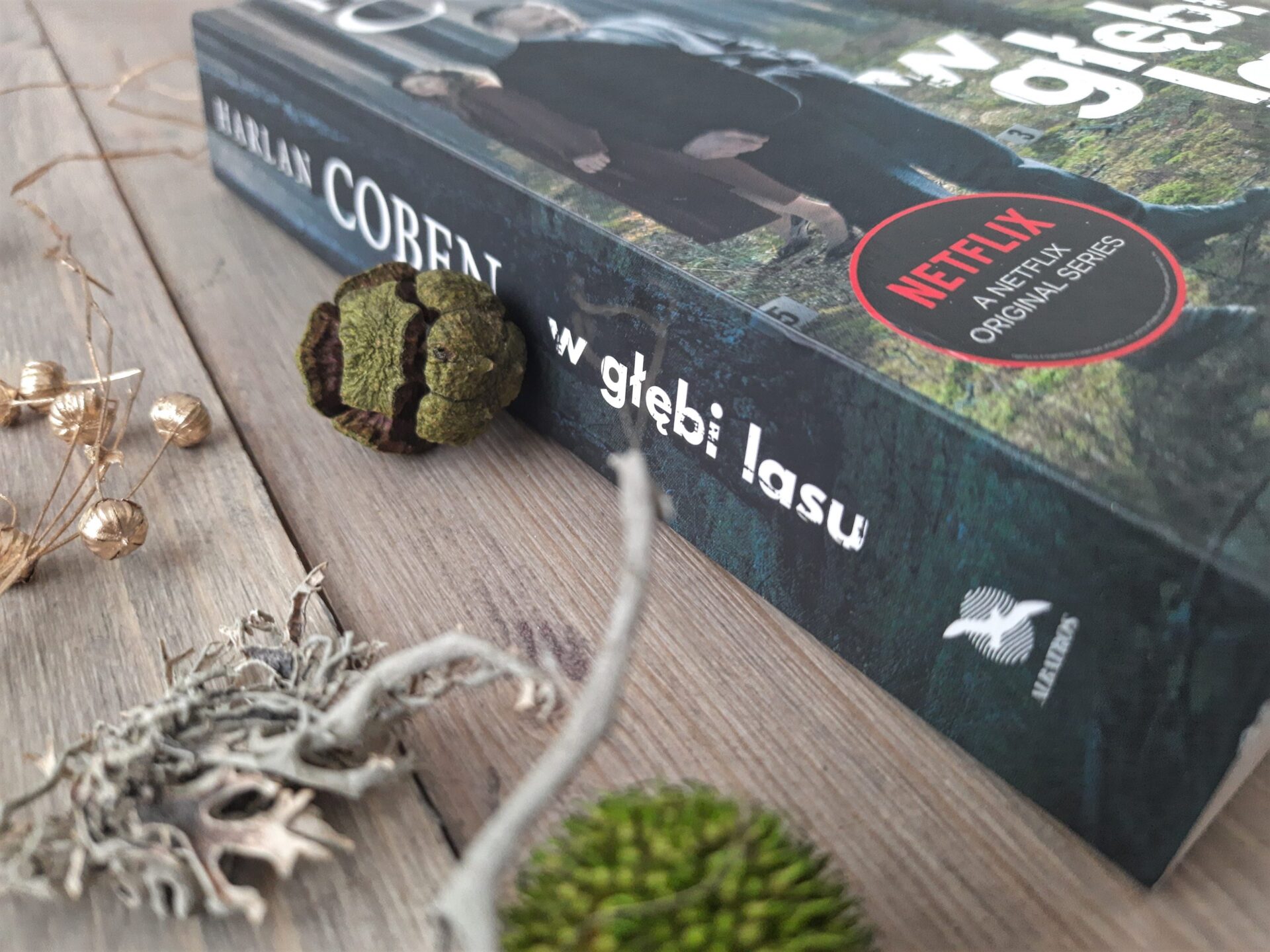 "W głębi lasu" Harlan Coben