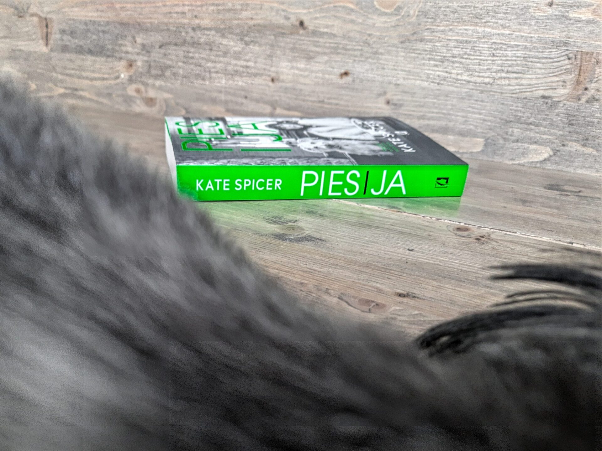 "Pies i ja" Kate Spicer