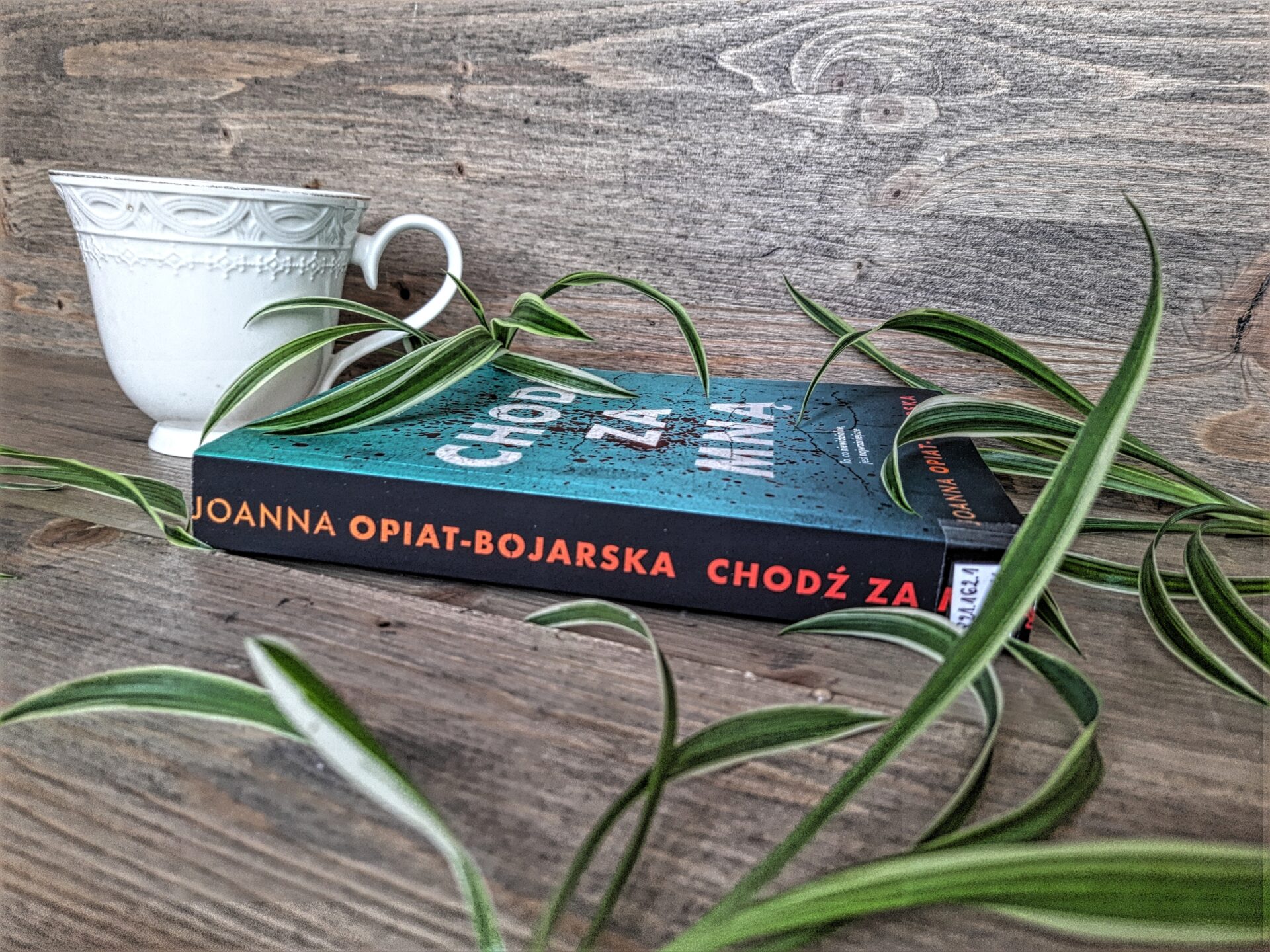 "Chodź za mną" Joanna Opiat-Bojarska