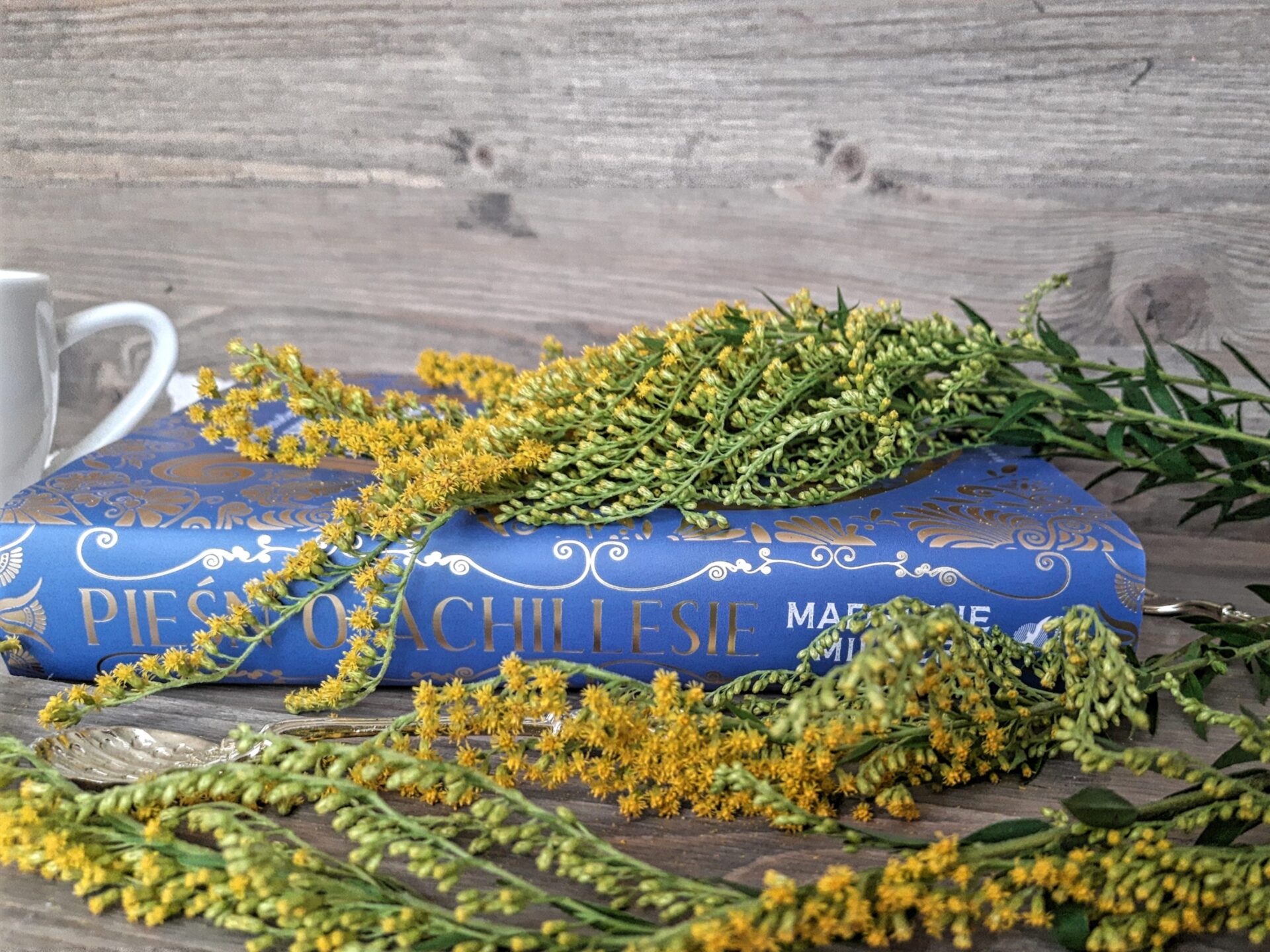 "Pieśń o Achillesie" Madeline Miller