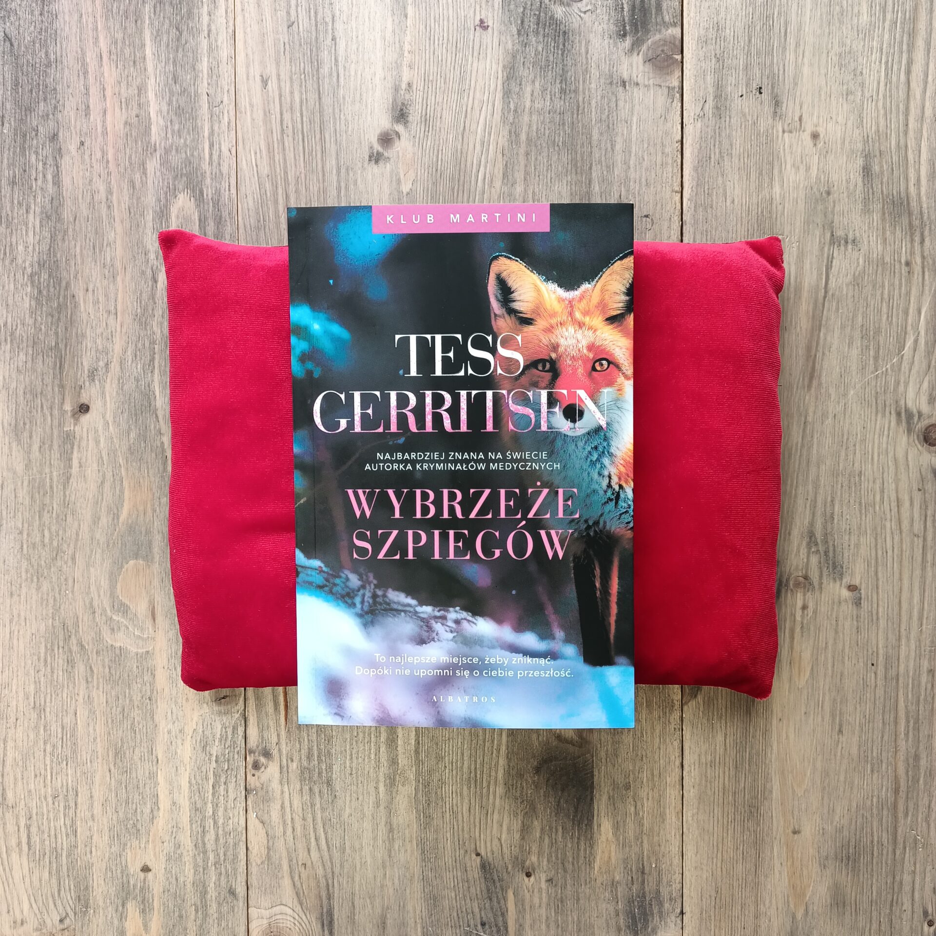 Okładka książki "Wybrzeże szpiegów" Tess Gerritsen