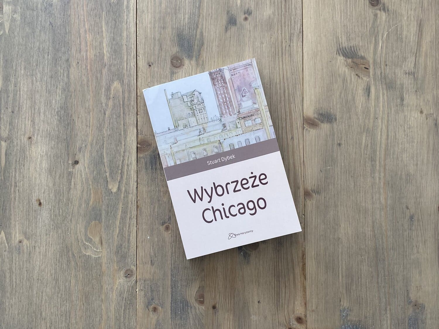 Okładka książki "Wybrzeże Chicago" Stuart Dybek