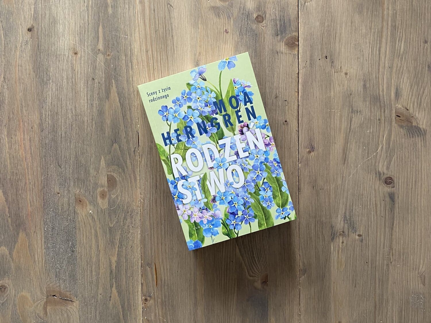 Okładka książki "Rodzeństwo" Moa Herngren