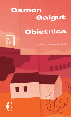 Okładka książki "Obietnica" Damon Galgut