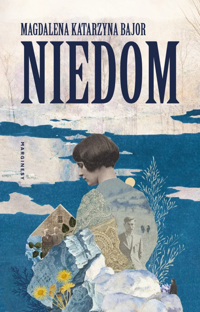 Okładka książki "Niedom" Magdalena Katarzyna Bajor